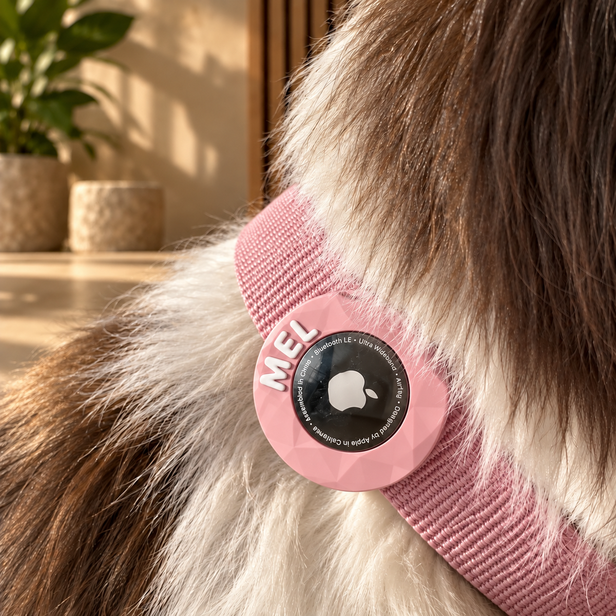Suporte personalizado para AirTag para coleira de cão