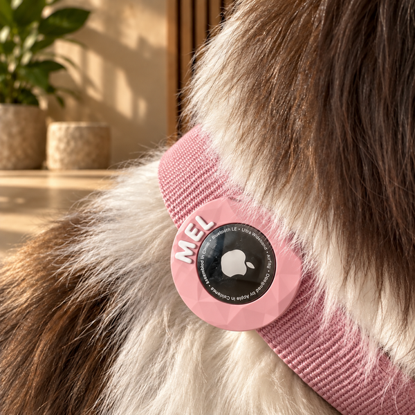 Suporte personalizado para AirTag para coleira de cão