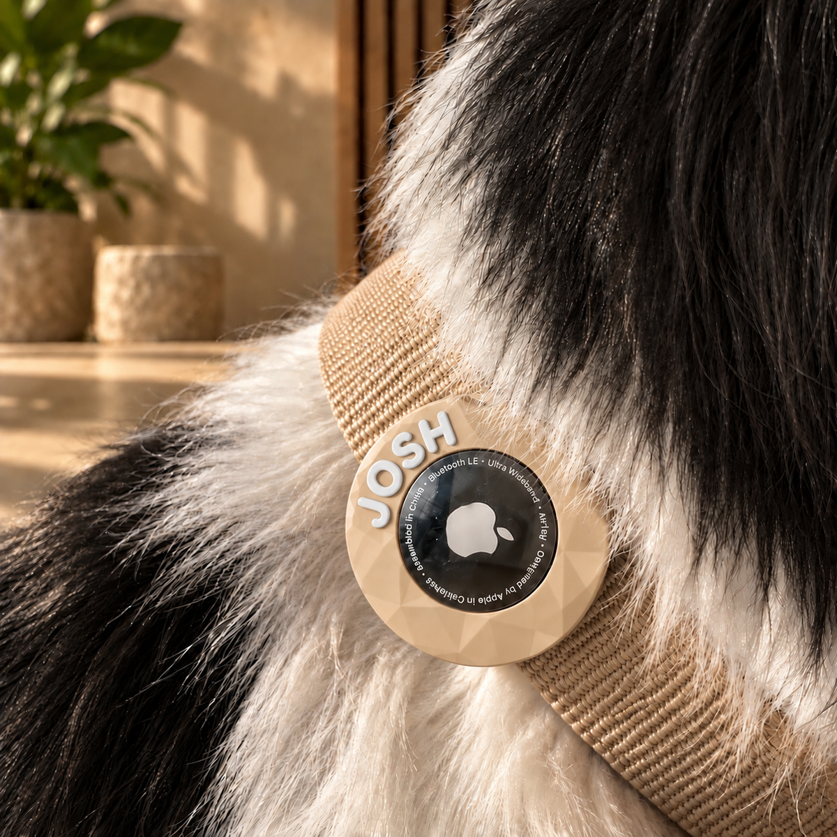 Suporte personalizado para AirTag para coleira de cão